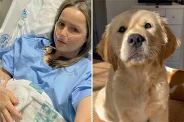 How did this puppy save his mom's life during a medical emergency?