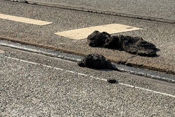 Anfangs nur Probe-Strecke aktiv: Nürnberger Straßenbahn fährt nach Hitzeschäden weiterhin nicht