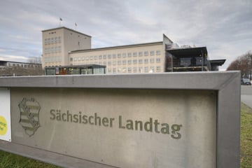 NRW und Hamburg als Vorbild: BSW will Jugendparlament für Sachsen