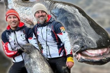 Spektakulärer Fang: Angler ziehen Monsterfisch aus dem Wasser