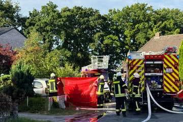 Wohnungsbrand fordert Todesopfer: Rettete Sohn seiner Mutter das Leben?