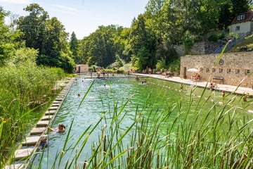 Dresden: Dresdner Freibad ist das beste in ganz Deutschland! Eine Besonderheit weiß zu begeistern