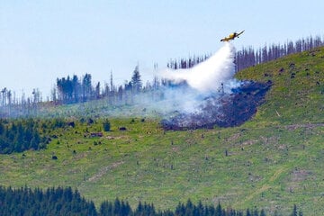 Waldbrand im Harz gelöscht: 120 Einsatzkräfte und Löschflugzeug im Einsatz