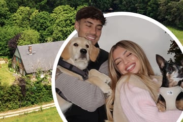 Glück im Unglück: Show-Exit rettete Familienhund von "Sommerhaus"-Paar