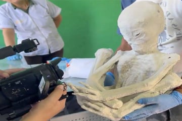 Alien-Mumien aus Peru: Ufo-Forscher wollen "eindeutige Beweise" haben