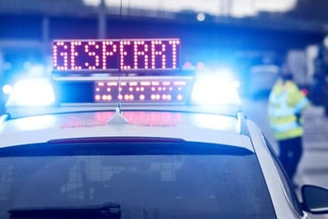 Freilaufende Hunde auf A72: Polizei sperrt Autobahn
