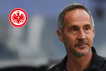Geht jetzt alles ganz schnell? Trainer-Entscheidung bei der Eintracht wohl gefallen