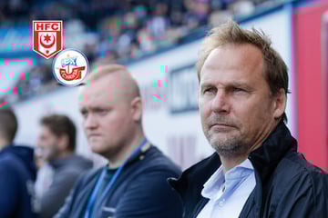 HFC prüft schon Nachfolger für Daniel Meyer: Stößt früherer Rostock-Boss zum Krisen-Klub?