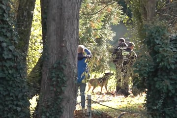 Vermisste Rebecca Reusch aus Berlin: Polizei befragt Bewohner