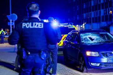 Auto bremst zu spät – Fußgänger und Hund schwer verletzt