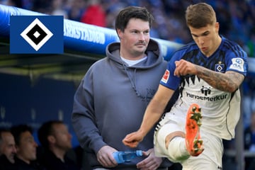 Alles für Vuskovic, "im Wasser und an Land": Einsatz von HSV-Abwehrboss im Nordderby auf der Kippe