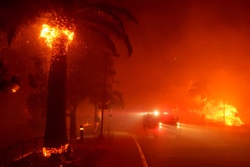 Waldbrand breitet sich rasch aus: Zahlreiche Menschen evakuiert