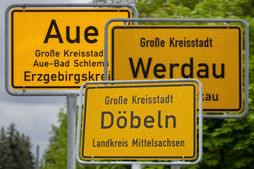 Bürgermeisterwahl in Sachsen: In dieser Stadt gewinnen die "Freien Sachsen"