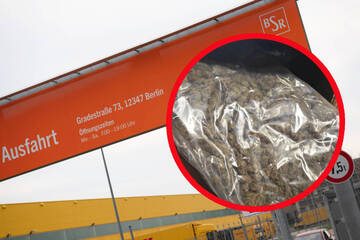 Berlin: Kein "Sondermüll": Großer Drogenfund auf Berliner Recyclinghof