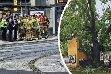 Dresden: Dicker Ast bricht und landet auf Dach: Dönerladen am Fetscherplatz evakuiert