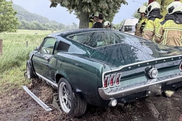 Dresden: Mustang kommt von Straße ab und kracht frontal gegen Baum