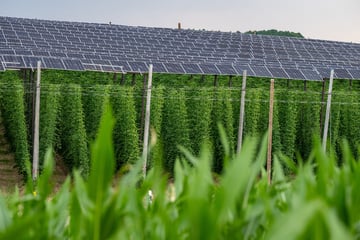 Anlage Nummer 100.000! Thüringen erreicht Meilenstein bei Photovoltaik