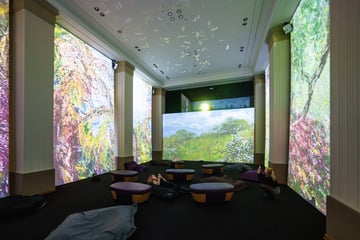 Dresden: Was machen Monet, van Gogh und Klimt in der Altmarkt-Galerie?