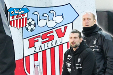 Keine zwei Siege hintereinander für Zwickau: FSV auf der Suche nach Konstanz