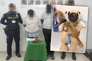 Paar versteckt Affenbabys in Unterwäsche: Ein Tier stirbt bei grausamem Schmuggelversuch
