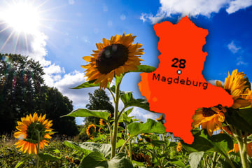 Sommer Sonne satt! Auf Sachsen-Anhalt wartet freundliche Woche