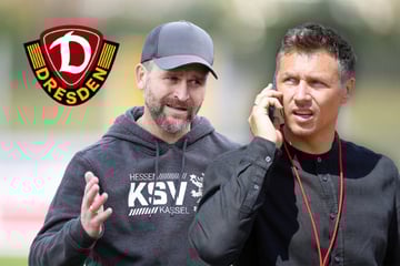 "Kein Besser-Wessi": So schwärmt Kassel-Coach Klingbeil von Dynamos neuem Sportchef