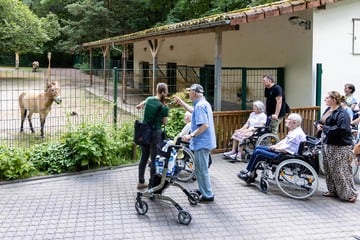 Chemnitz: Tierpark Chemnitz bietet Führungen speziell für Demenzkranke an