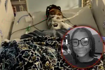 Nach Streit mit Mitschülerin: Mädchen (†12) fällt ins Koma und stirbt