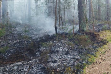 Ganzes Gebiet ist munitionsbelastet: Wald in Brand, Feuerwehr im Großeinsatz