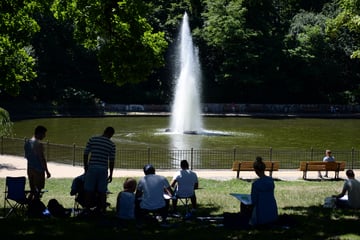 Berlin: Fatale Folgen für Fische: Es sprudelt nicht mehr im Volkspark Friedrichshain