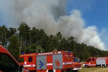 Sieben Waldbrände wüten in Südbrandenburg: Dorf evakuiert