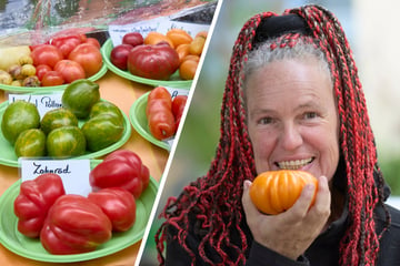 Dresden: Ihre Liebe zum roten Gemüse wird offenbar geteilt: Tomaten-Züchterin aus Dresden ist jetzt Instagram-Star