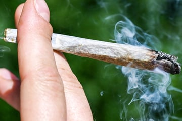 Frankfurt: Cannabis-Tests in Frankfurter Clubs als Service für die Nachtschwärmer