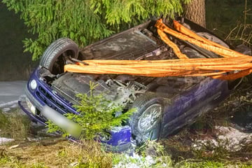 Diebstahl, Fahrerflucht, Baum-Crash: Polizei ermittelt wegen mehrerer Vergehen gegen Renault-Fahrer