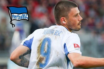 Hertha-Duo wird zum Trio: Jobsharing zu dritt?