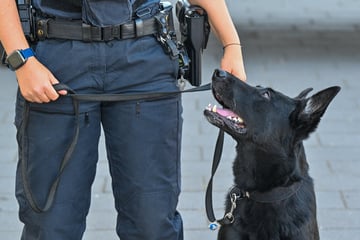 Polizei lädt zum Tag der offenen Tür - mit Diensthunden und Bastelspaß für Kids