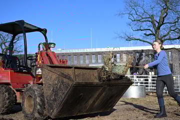 Radlader-Falle: Reiterhof verliert 17.000 Euro an Trickbetrüger!