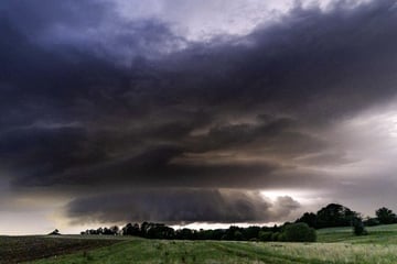 In Trauerwald! Kind bei Unwetter von Ast erschlagen