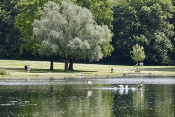 Nimmt der Sommer in NRW jetzt richtig Fahrt auf? So startet die kommende Woche