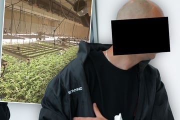 Er hatte eine riesige Cannabis-Plantage in Sachsen: "Haschbaron" kommt mit Bewährung davon