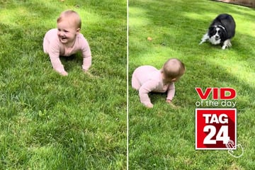 viral videos: Viral Video of the Day for August 24, 2025: Baby giggles as family dog gets the zoomies!