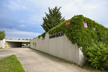 Tierheim Berlin wieder offen: Vogelvirus unter Kontrolle