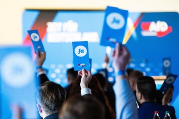 Die Linke fordert eine schnelle Einstufung für neue AfD-Jugendorganisation