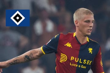 HSV-Blog: Polzin äußert sich vielsagend zu dänischem Offensivakteur