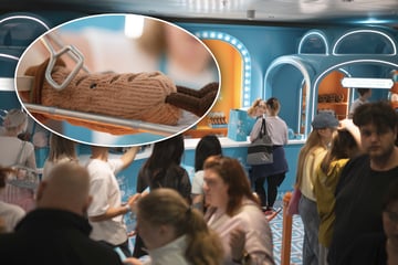Berlin: Wird das der nächste Hype? Darum stehen Berliner für Kuscheltiere Schlange