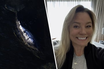 Tierärztin Jenna Wallace warnt: Neue Spezialisten haben schon Wale auf dem Gewissen