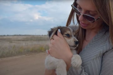 Abandoned puppy speaks to Ukrainian woman: "He grabbed my hand and asked to take him home"