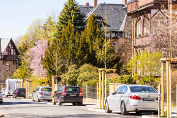 Dresden: Nach Begrünungs-Aktion in Loschwitz: Jetzt gibt es weniger Parkplätze