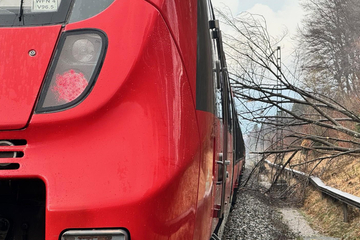 Baum kracht auf Oberleitung und setzt Zug mit 250 Passagieren unter Strom – Reisender erleidet Herzinfarkt