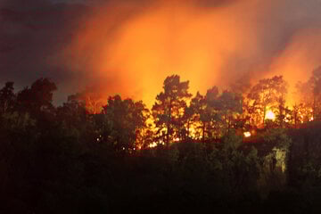 Waldbrände im Harz: Feuer bei Thale gelöscht, neues entsteht bei Quedlinburg